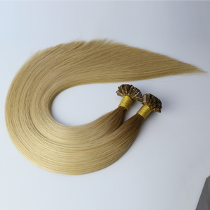 Luxstrnd T#6/18 Chestnut Brown/Dirty Blonde Ombre Virgin Pre-Bonded Keratin U Tip Hair Extensions (100g)